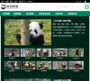 iPanda熊猫频道