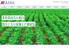 嘉华股份