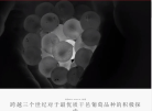 人头马官网