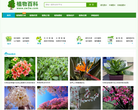 植物百科