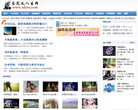 自定义人生网