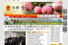静宁县人民政府