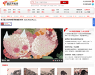 中国艺术批评网